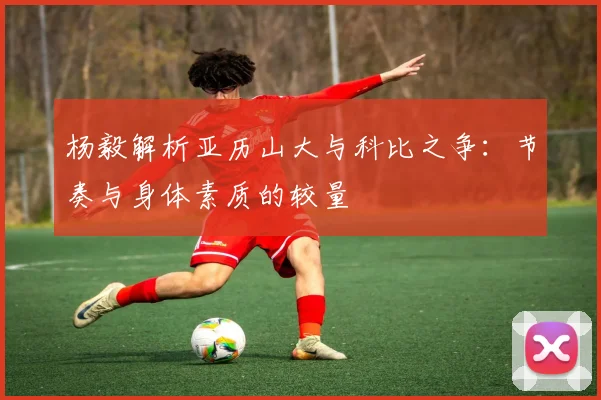 杨毅解析亚历山大与科比之争：节奏与身体素质的较量