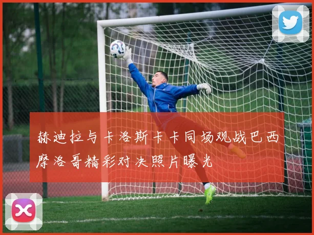 赫迪拉与卡洛斯卡卡同场观战巴西摩洛哥精彩对决照片曝光