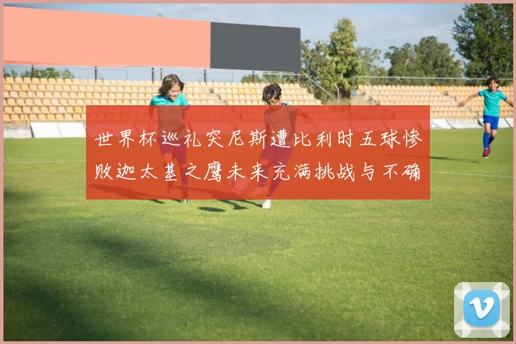 世界杯巡礼突尼斯遭比利时五球惨败迦太基之鹰未来充满挑战与不确定性