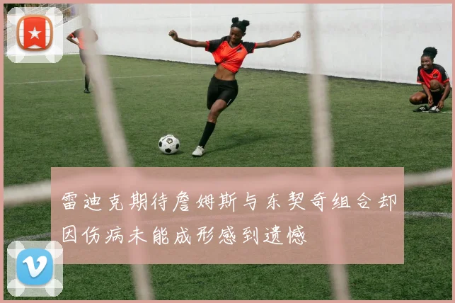 雷迪克期待詹姆斯与东契奇组合却因伤病未能成形感到遗憾